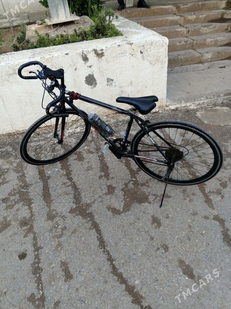 tigir - Parahat 7 - img 1