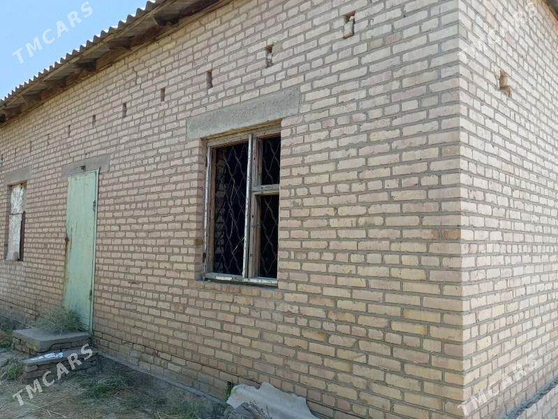 Daca - Türkmenabat - img 1