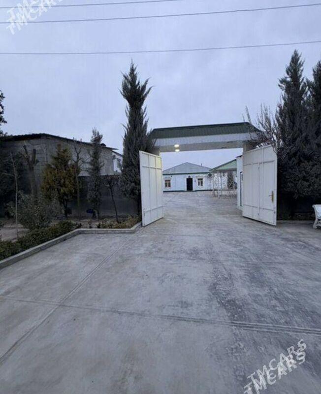 Satlyk bekrewe - Бекреве - img 1