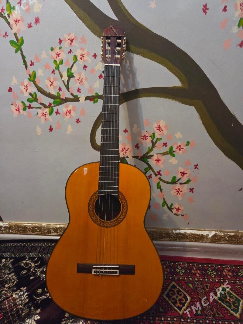 Gitara - Aşgabat - img 1