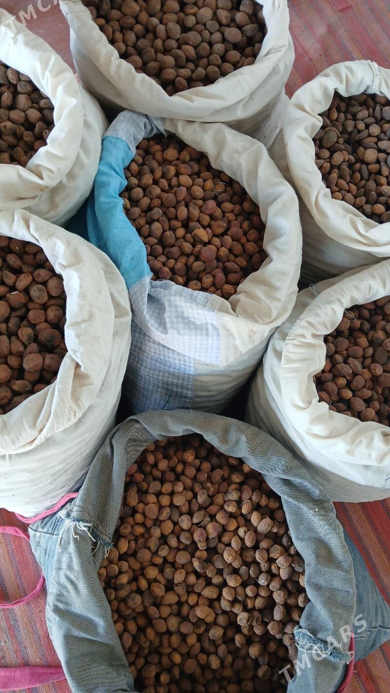 Golum Erik kak - Сакар - img 1