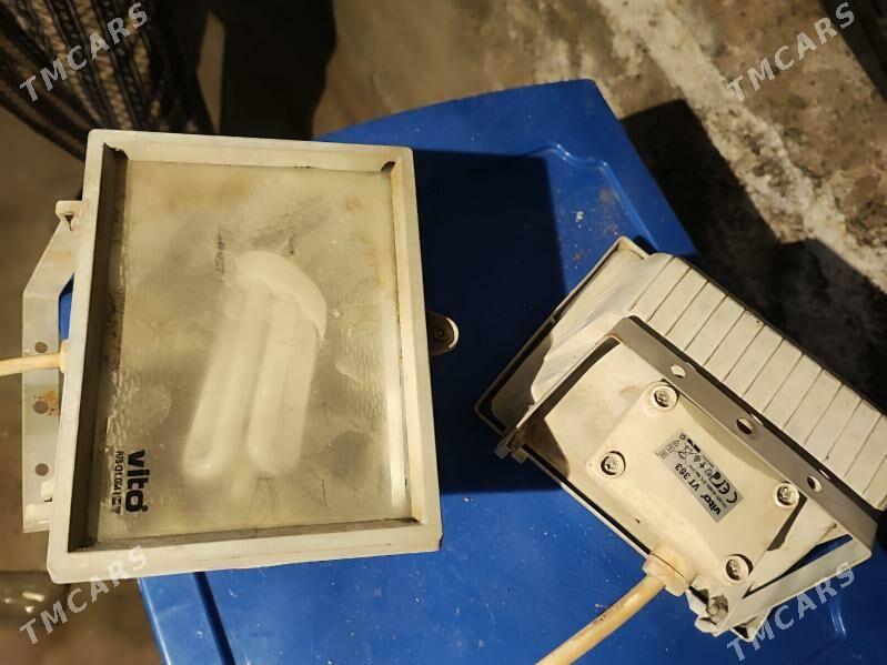 Çyra - Mary - img 1