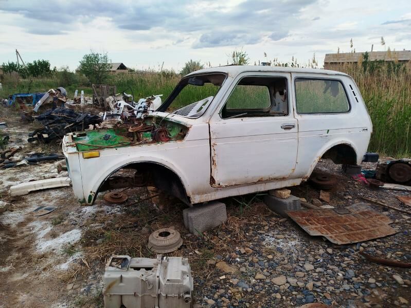 Niwa zapjas 111 TMT - Бабадайхан - img 1