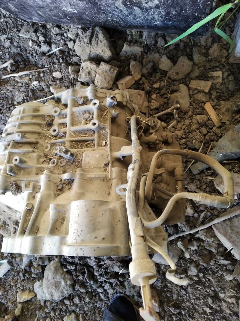 Lehus RX 330 karopga 2 000 TMT - Mary - img 1