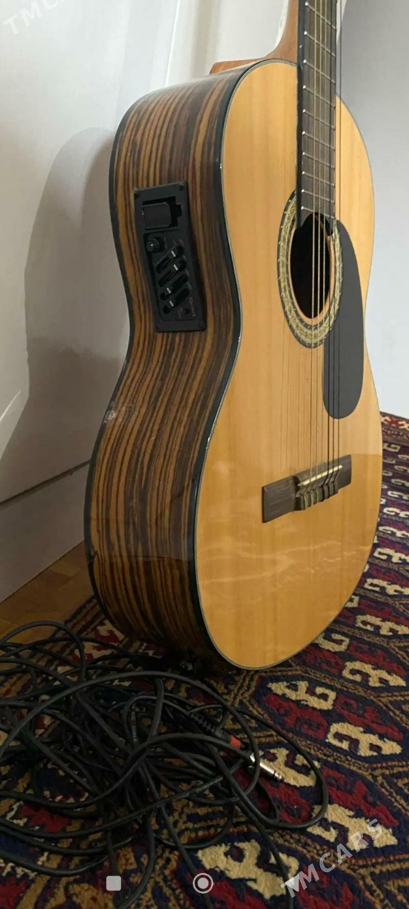 Gitara tokly - Гумдаг - img 1