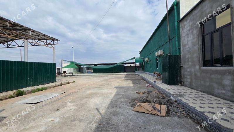 Kafe arenda berilyar - Şabat etr. - img 1