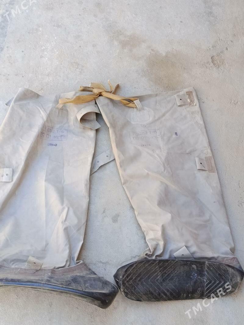 Irzin adik - Sakarçäge - img 1