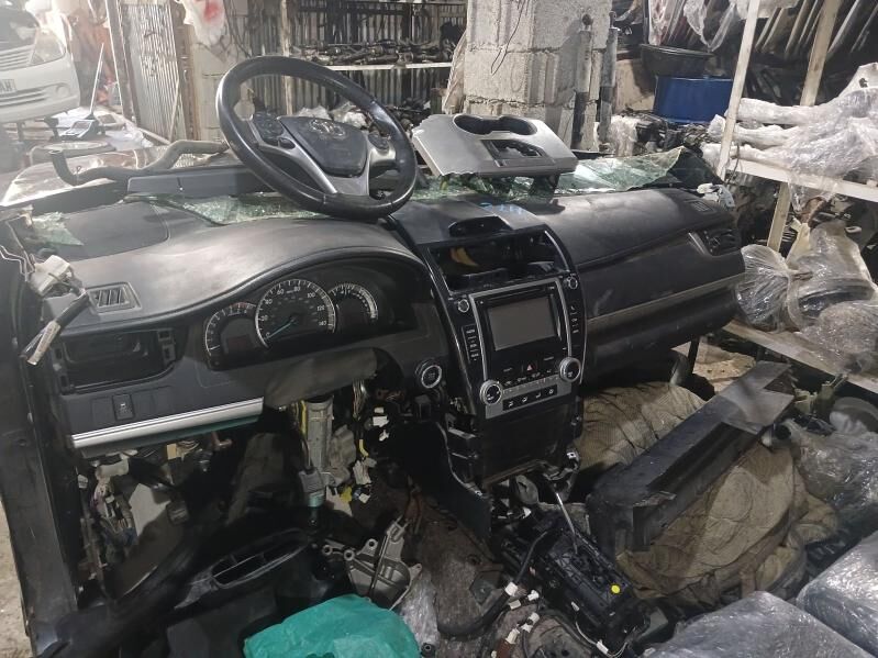 Palta morda 100 TMT - Bedew - img 1