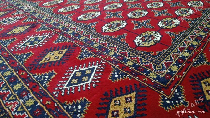 Haly - Гызыларбат - img 1