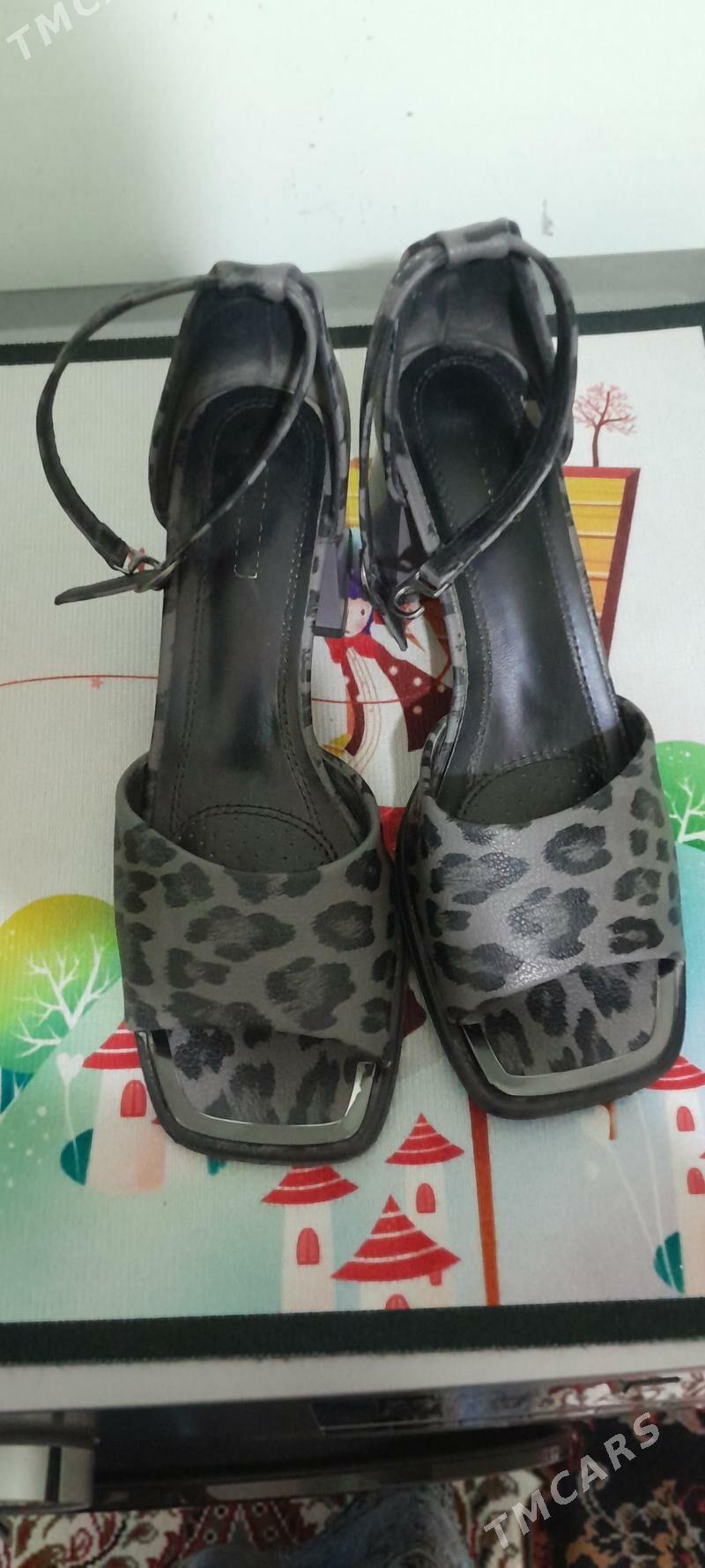 basanoska - Дашогуз - img 1