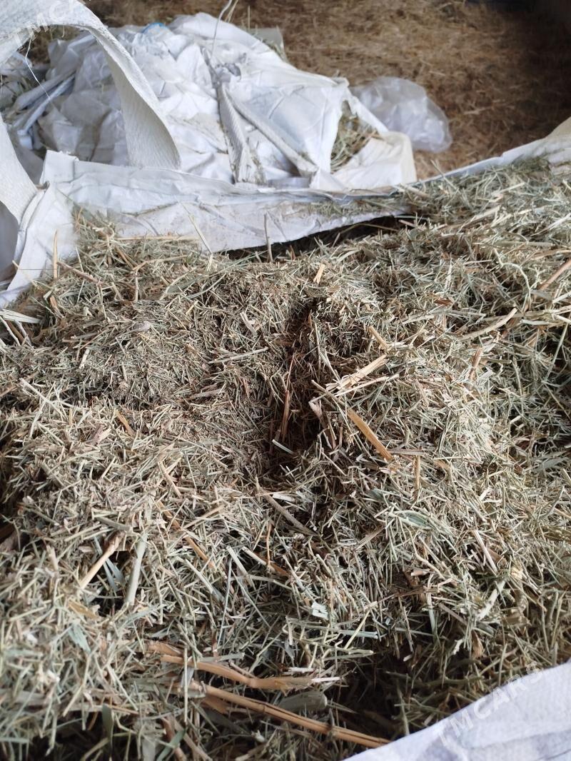 Yandak - Gökdepe - img 1