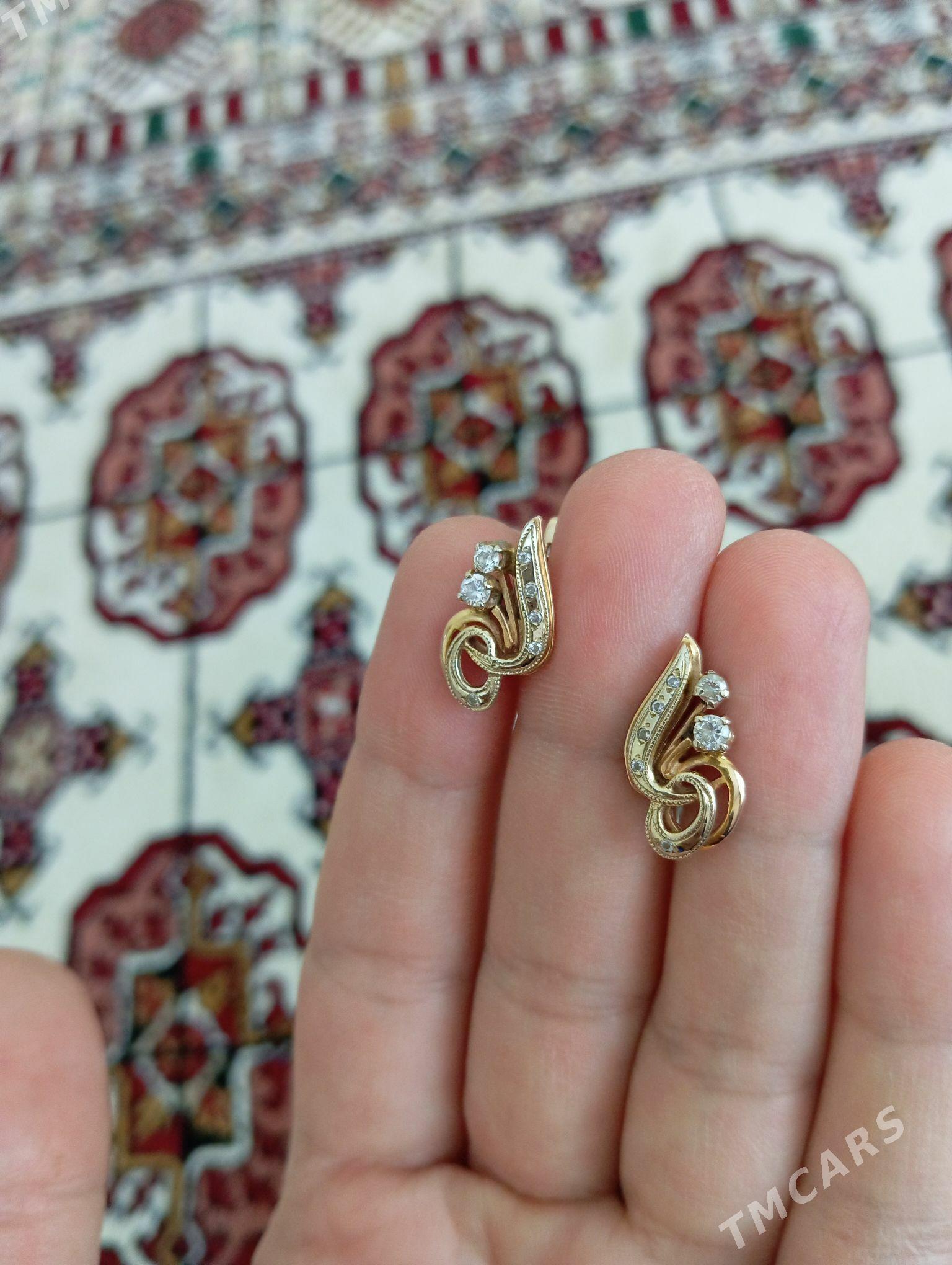 gyzyl gulakhalka - Köşi - img 1