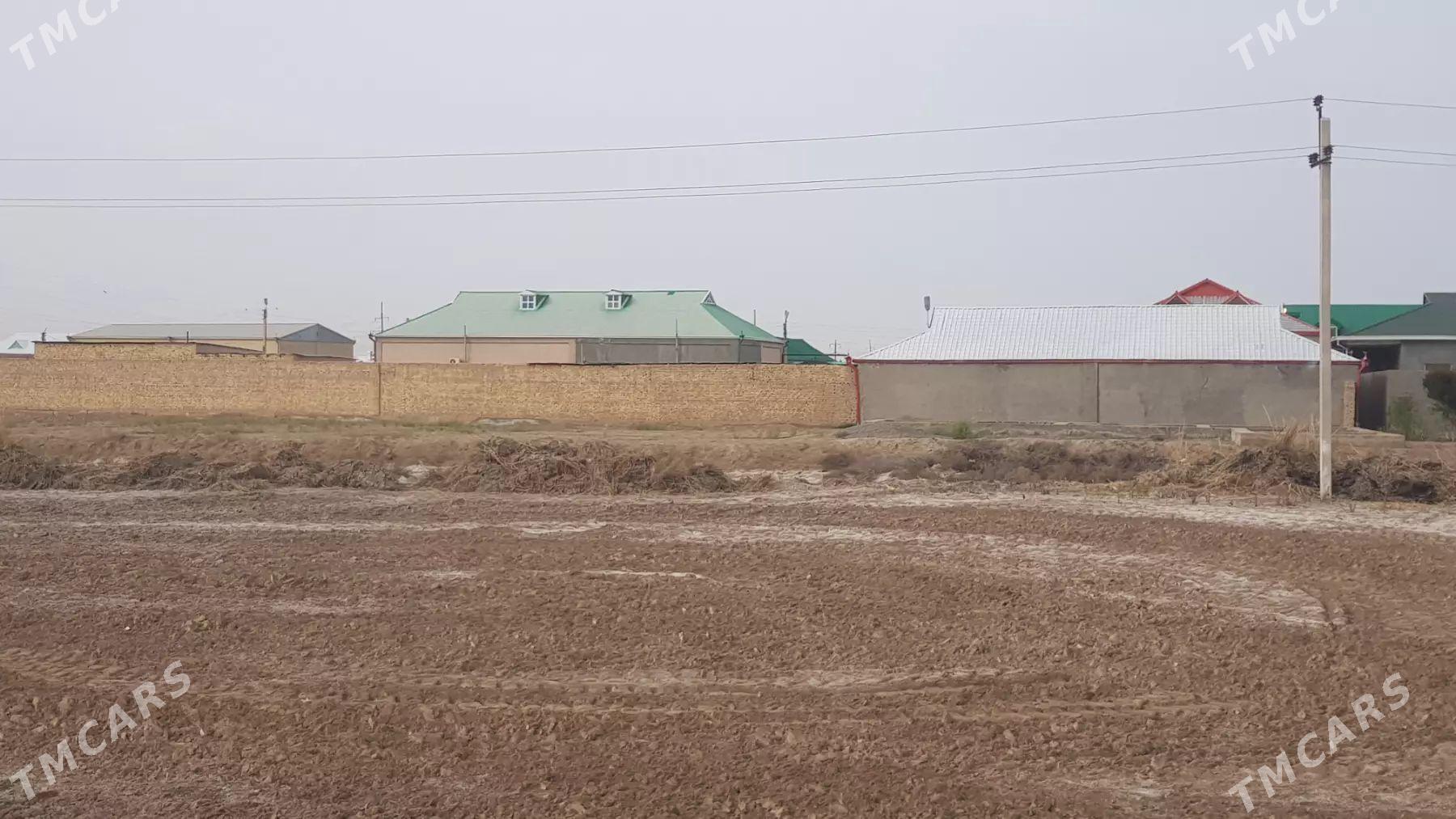 Melek - Baýramaly - img 1