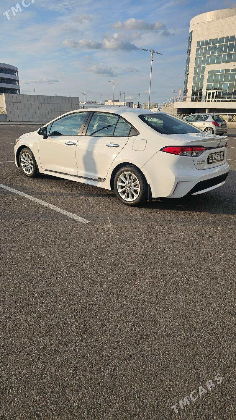 Toyota Corolla 2020 - 275 000 TMT - Ашхабад - img 1