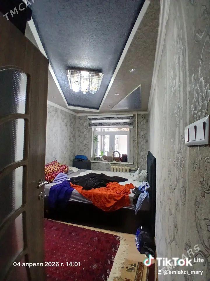 Satlyk jay - Mary - img 1