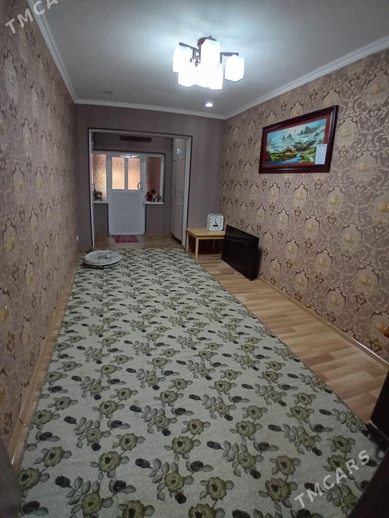 Satlyk jay - Mary - img 1