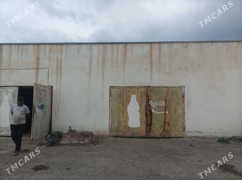 arenda yer - Kaka - img 1