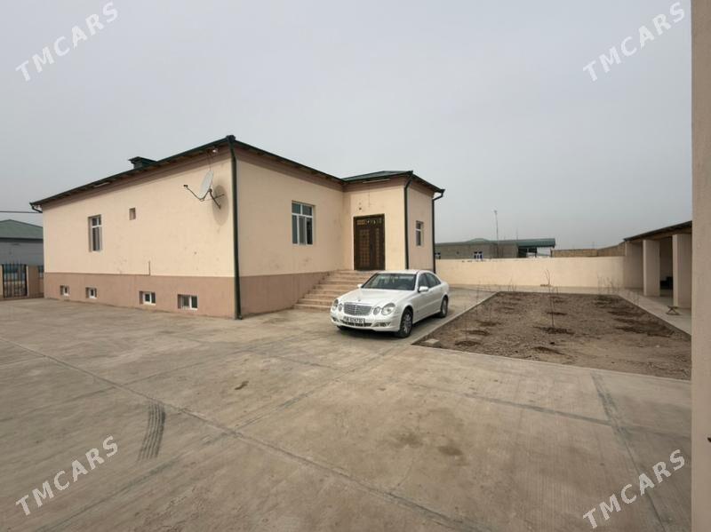 жай - Daşoguz - img 1