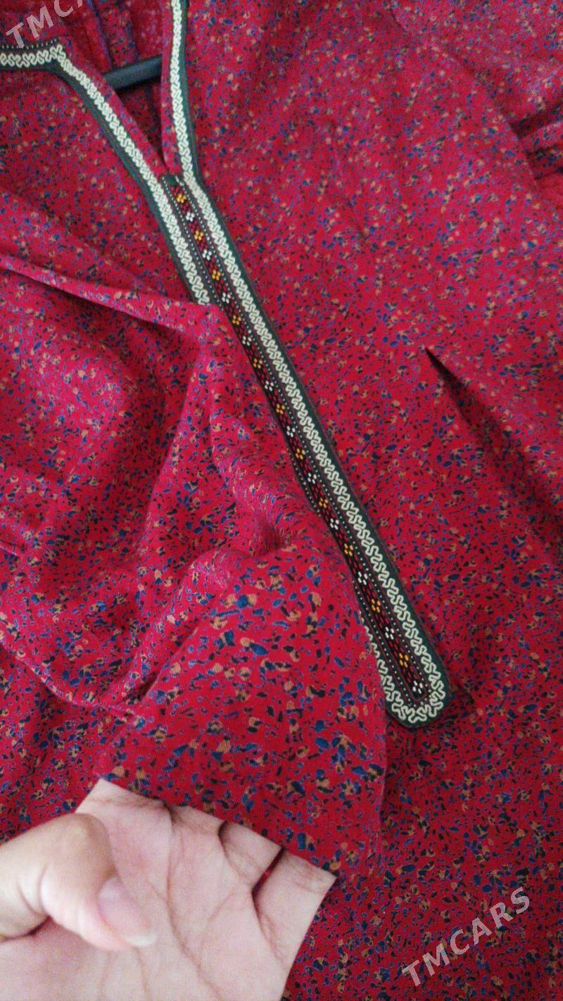 Tikimçi - Änew - img 1