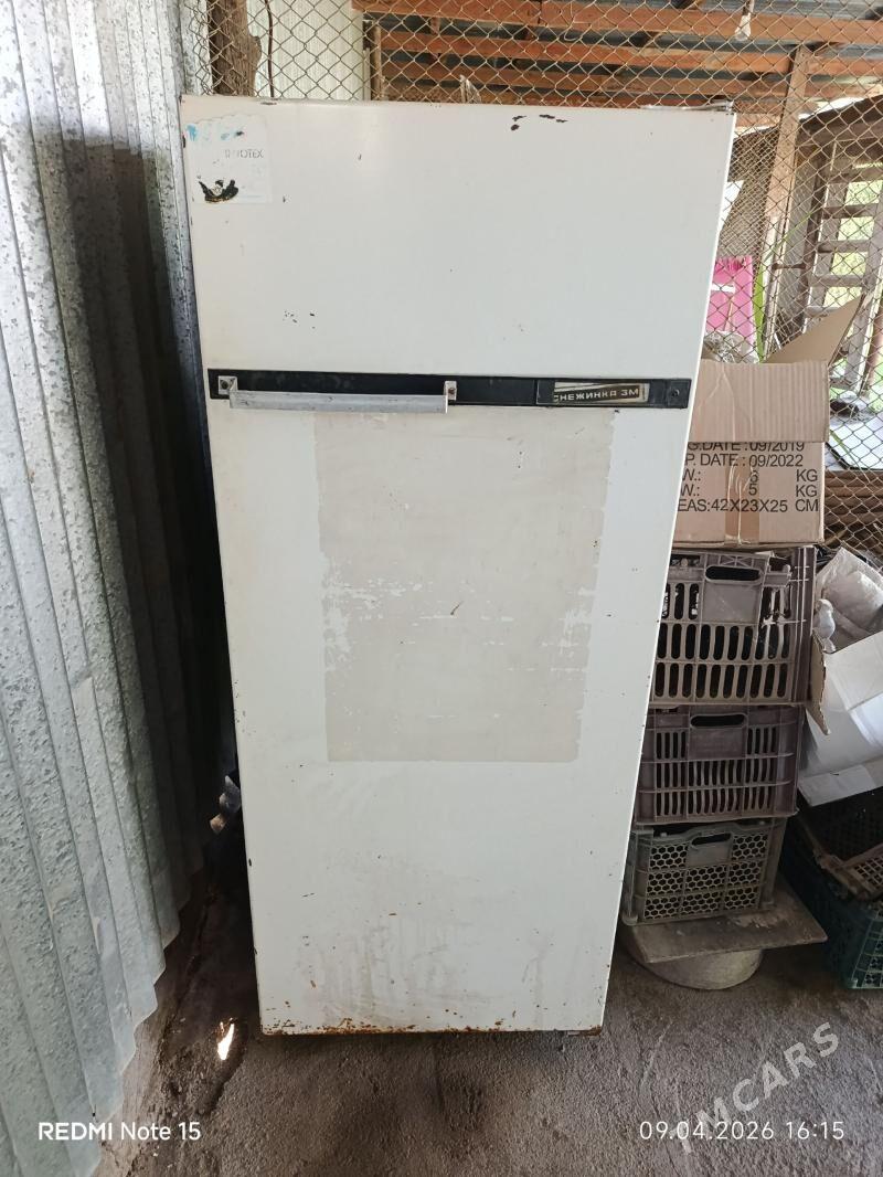 Холодильник - Mary - img 1