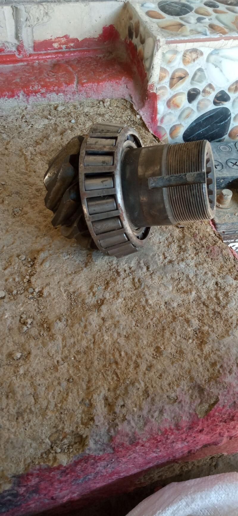 11dis 1 000 TMT - Bäherden - img 1