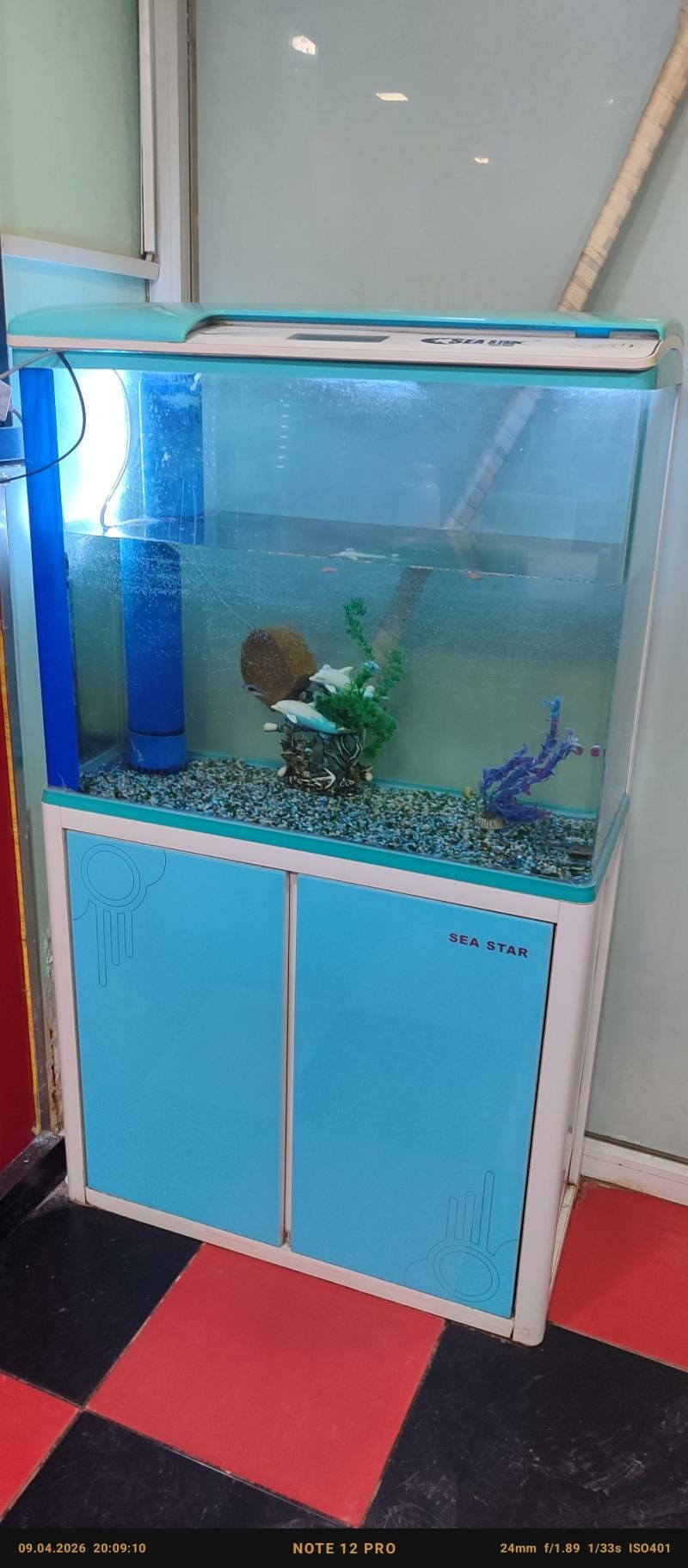 akwarium - Daşoguz - img 1