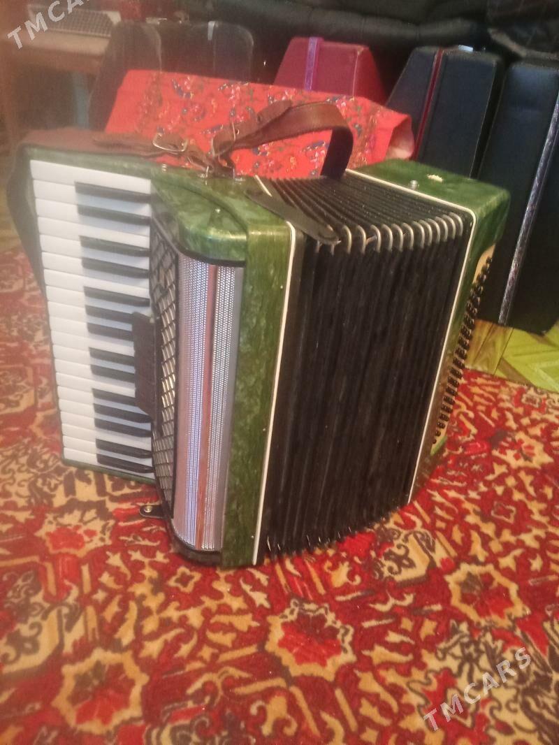 akkardeon - Kaka - img 1