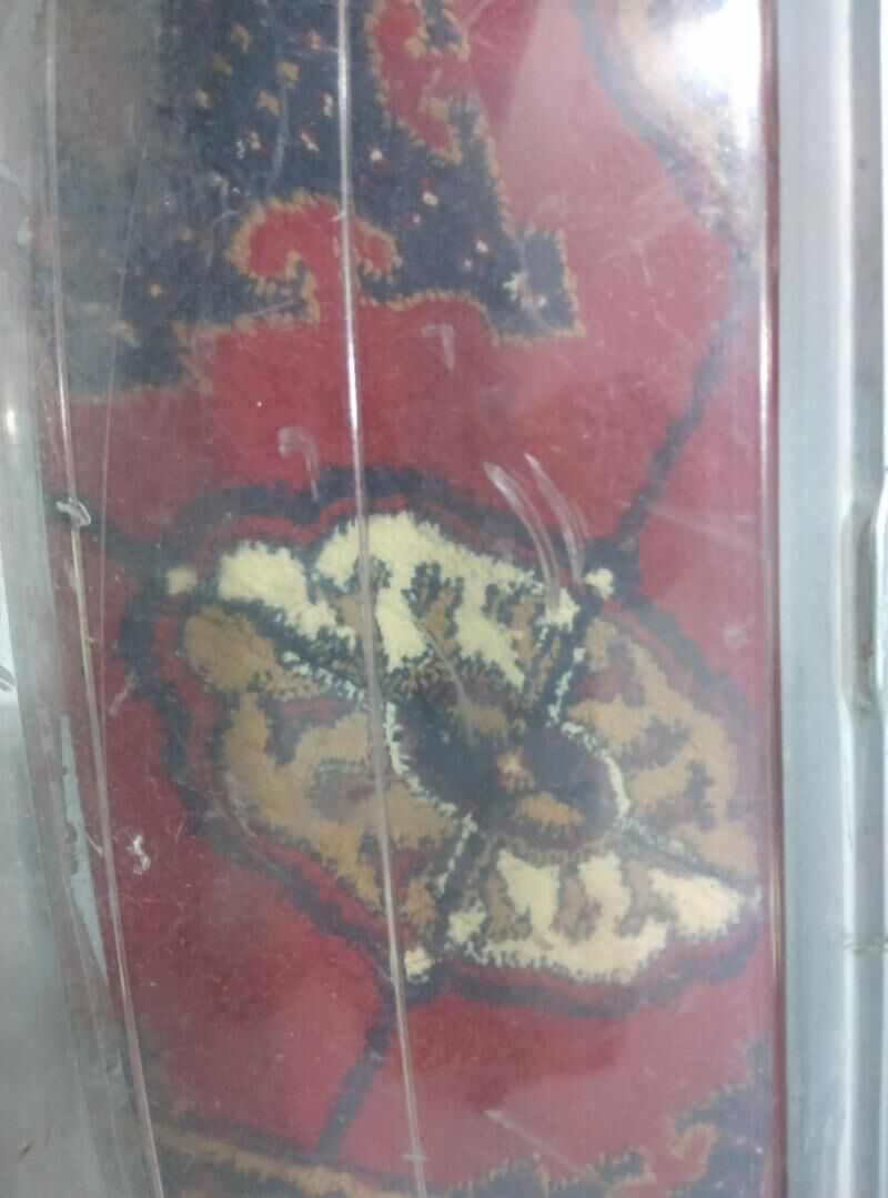 99 far aýnasy 200 TMT - Туркменбаши - img 1