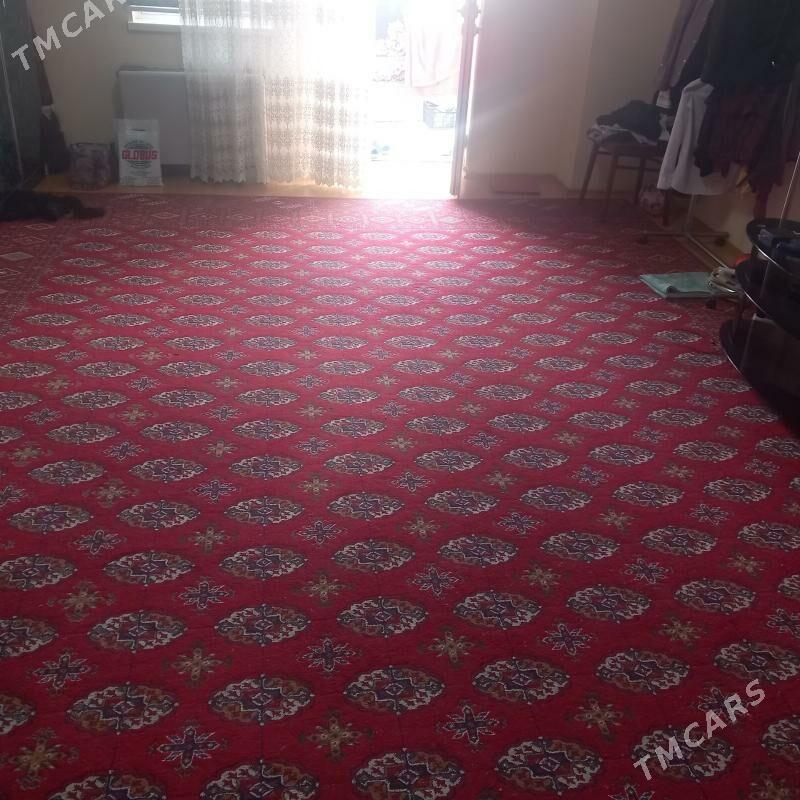 Haly - Köşi - img 1