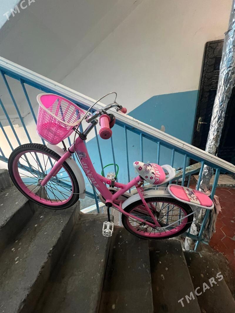 tigir - Мир 1 - img 1