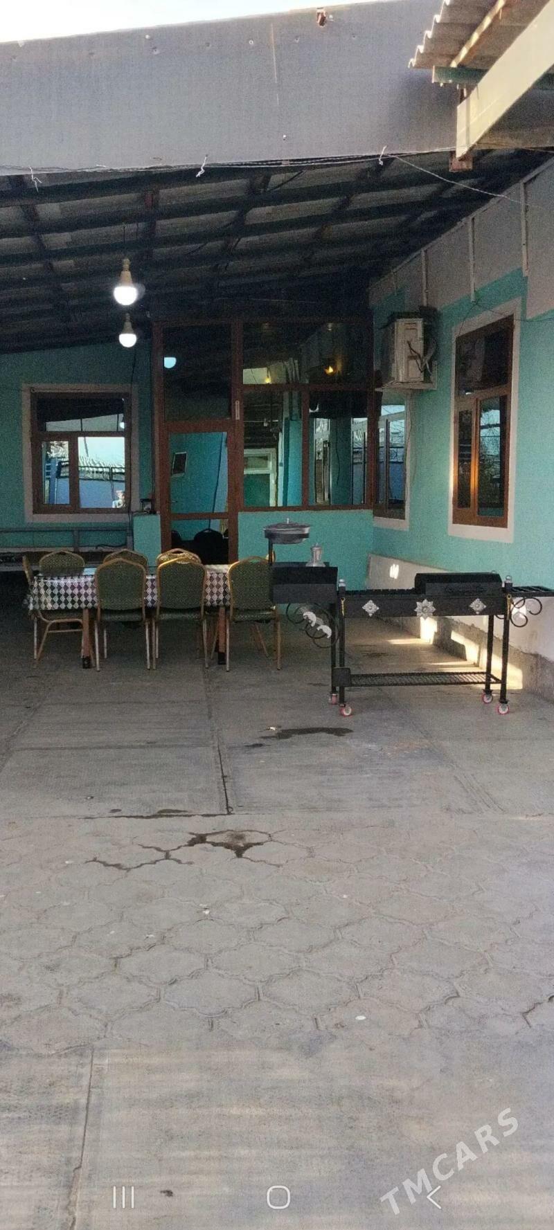 Howly jay - Мары - img 1