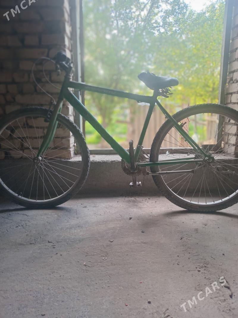 tigir - Кака - img 1