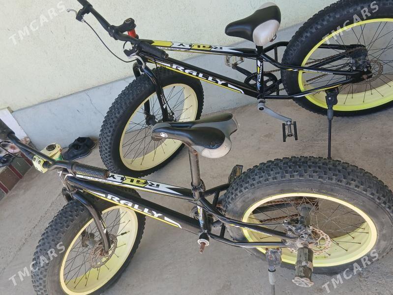 Tigir - Анев - img 1