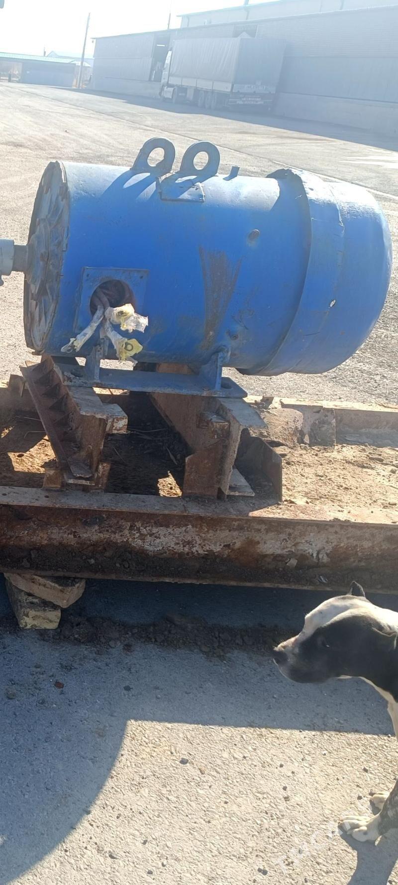 dwigitel - Мары - img 1