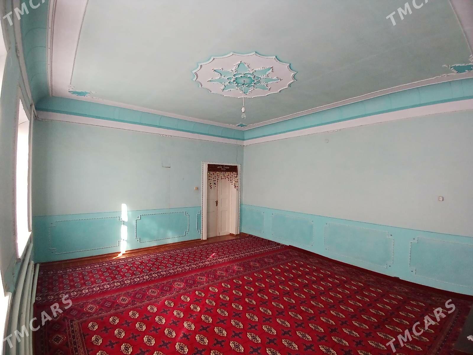 Howly jay - Мары - img 1