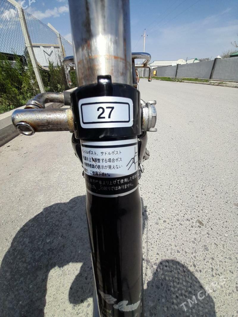 tigir - Büzmeýin - img 1