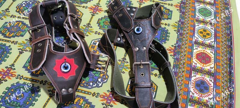 ошейник - Сейди - img 1