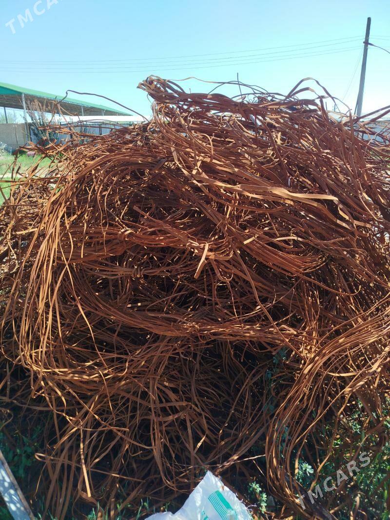 demir lente - Murgap - img 1