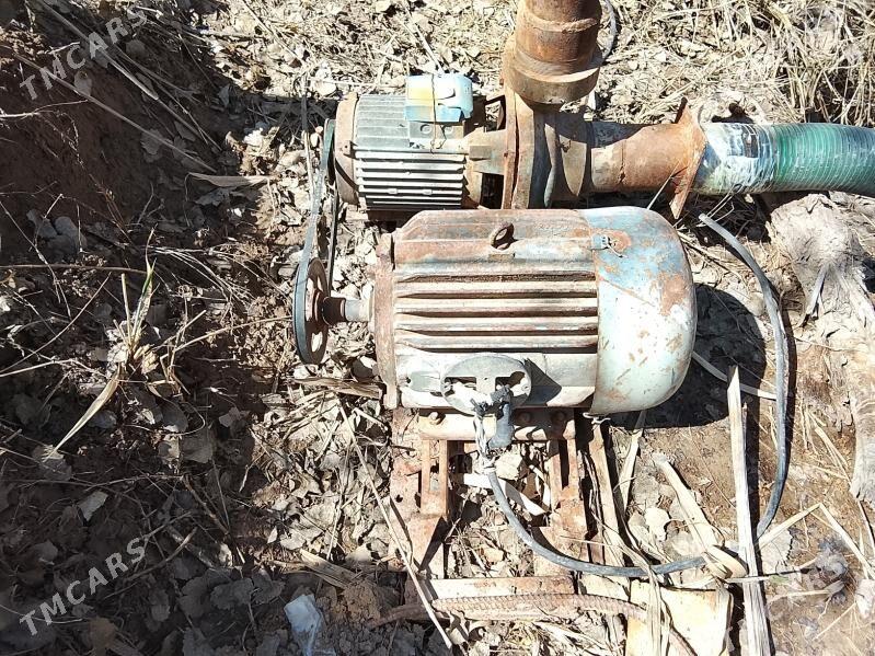 nasos - Гороглы (Тагта) - img 1