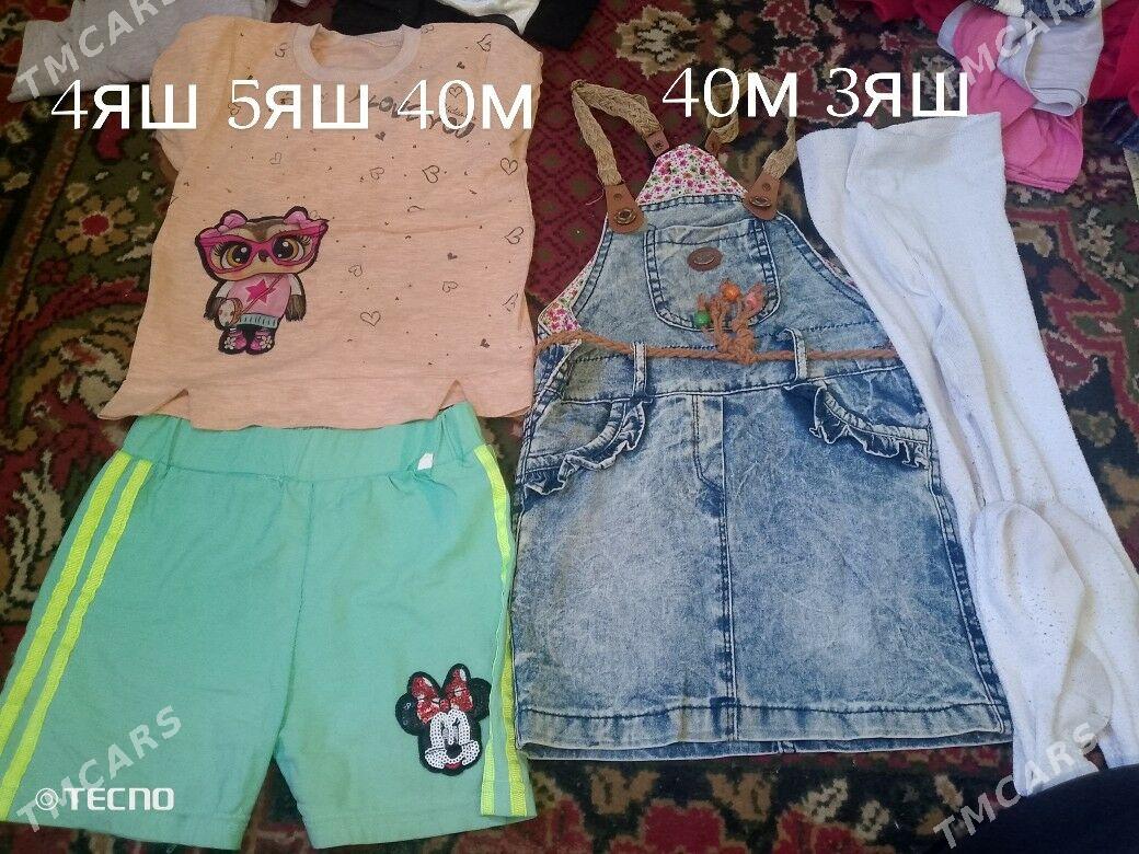 çaqalara - Daşoguz - img 1