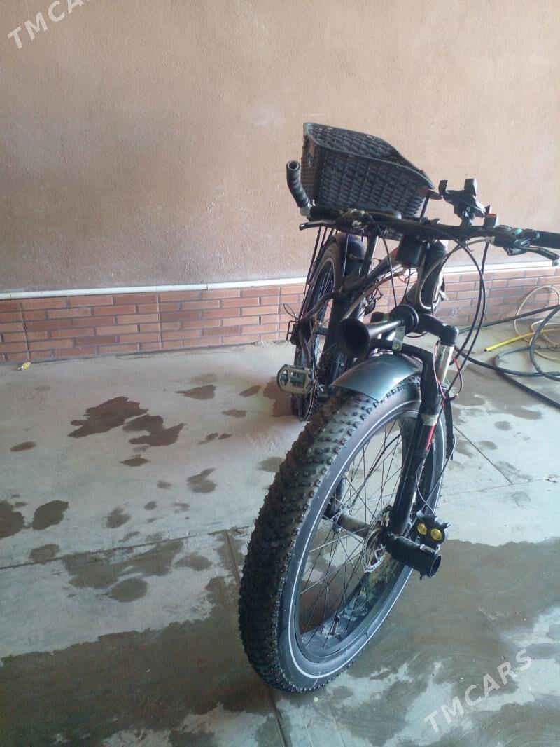 Tigir - Кёнеургенч - img 1