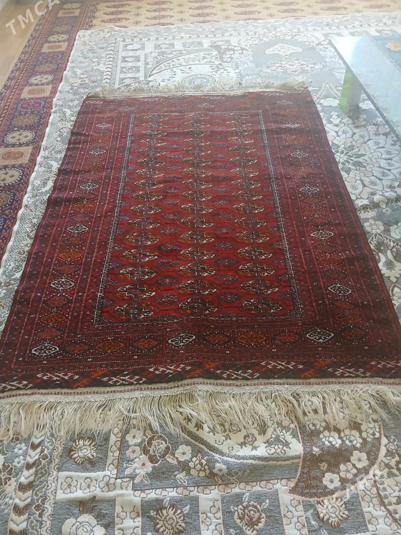 el haly - Кëши - img 1