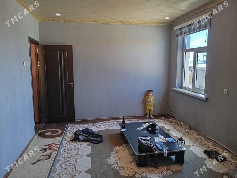 Arenda jay - Mary - img 1