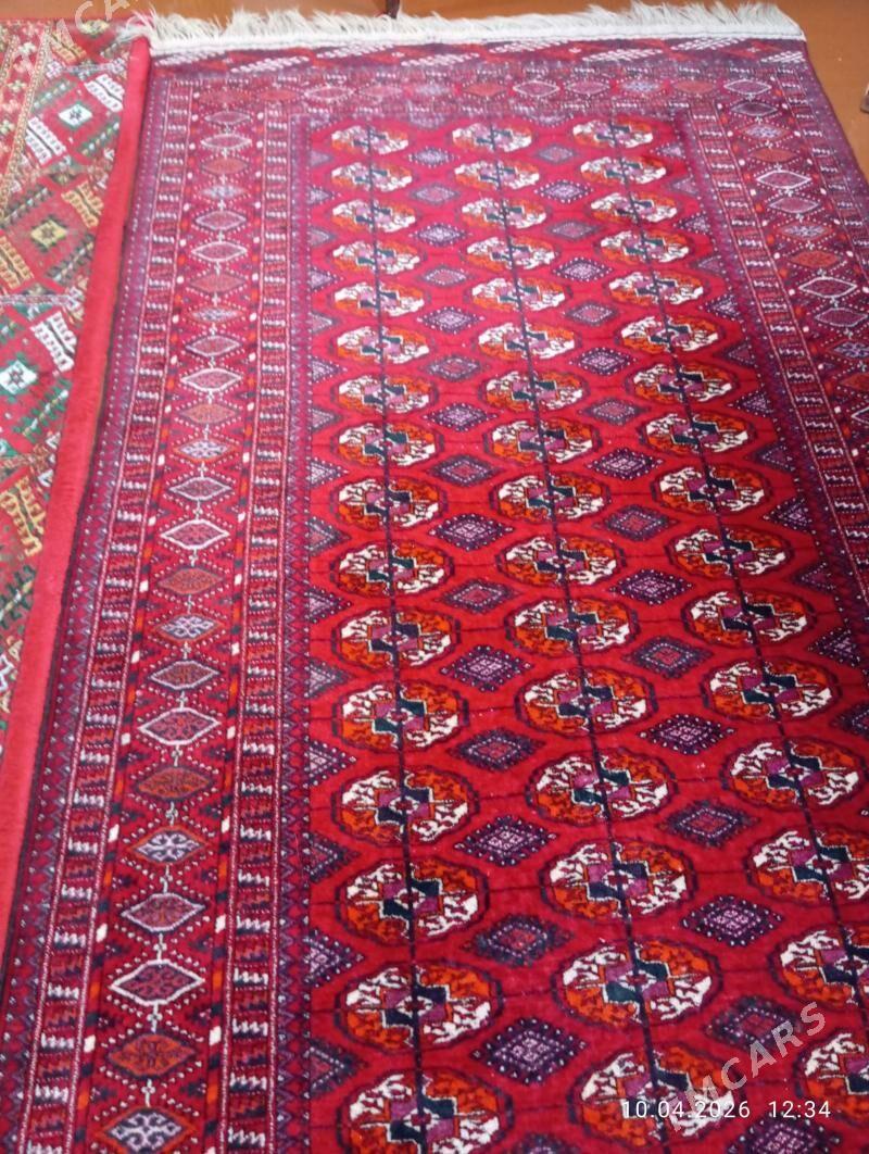 el haly - Ашхабад - img 1