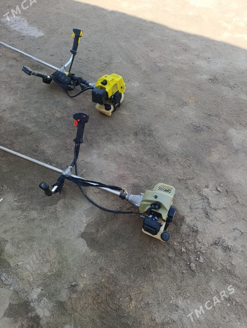 ot oryan matorcik - Türkmenabat - img 1