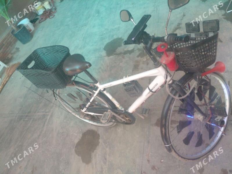 Tigir - Köneürgenç - img 1