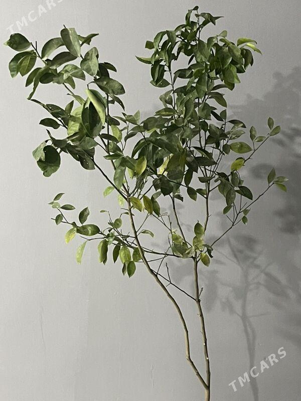 otag gulleri - Мары - img 1