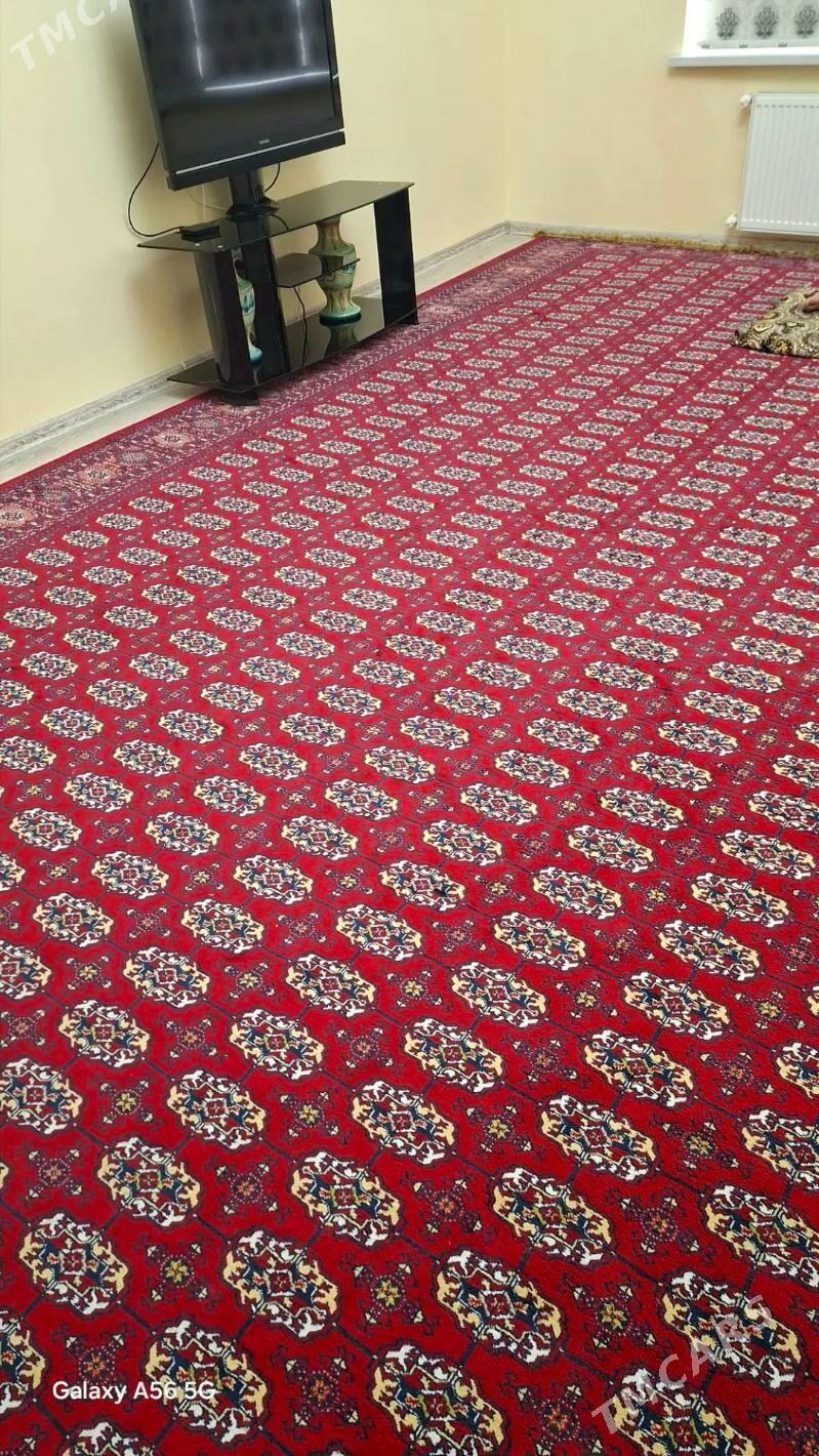 Gurtly PolElitka - Gurtly - img 1