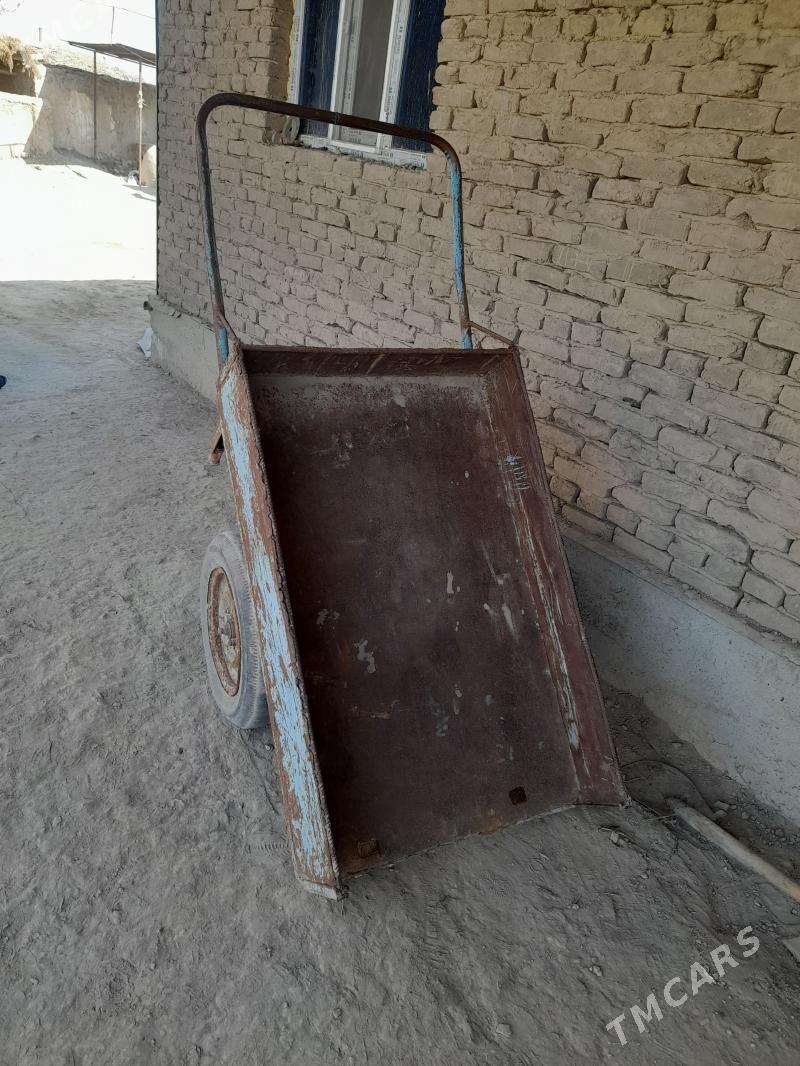 Arawa - Boldumsaz - img 1