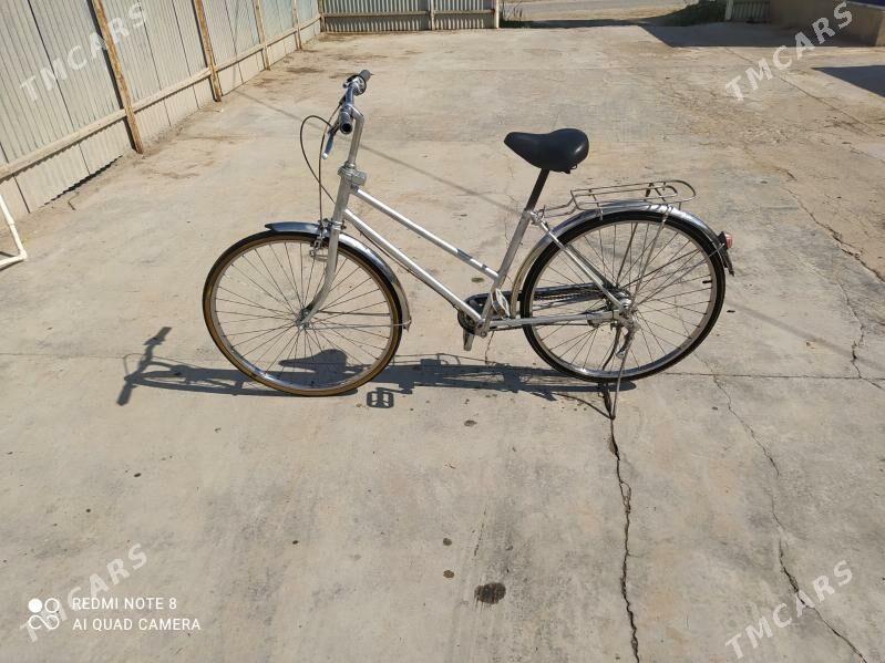 26 wepil - Sakarçäge - img 1